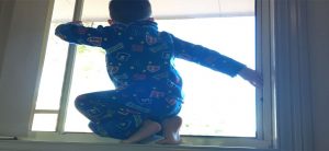 kid screen - window fall prevention